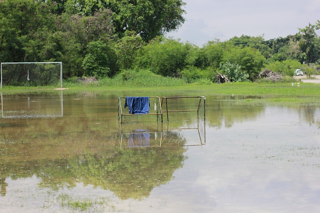 现成为国家 现成为国家