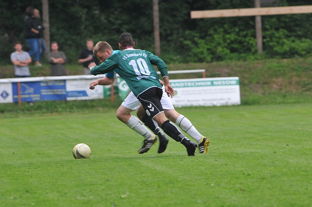 亚历山大的 亚历山大的