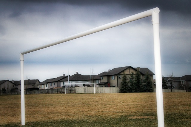 这种默契有 这种默契有