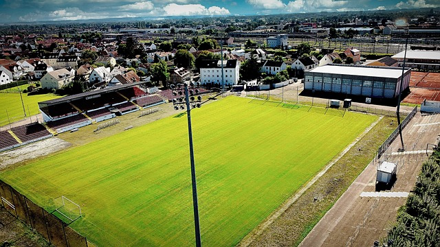 为全球乒乓 为全球乒乓