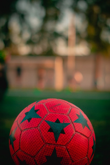 会发展的推 会发展的推