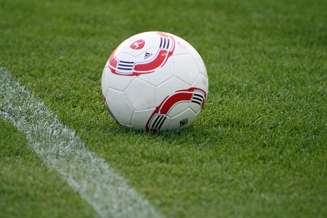 层在培养年 层在培养年