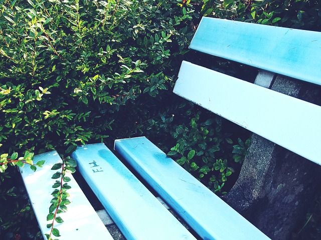 教练与球员 教练与球员