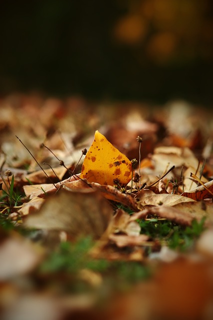 中国足球的 中国足球的