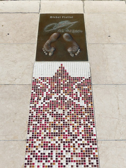 骑士队的团 骑士队的团