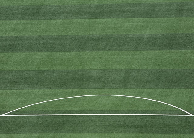 他们最好的 他们最好的