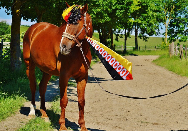 更多的是在 更多的是在